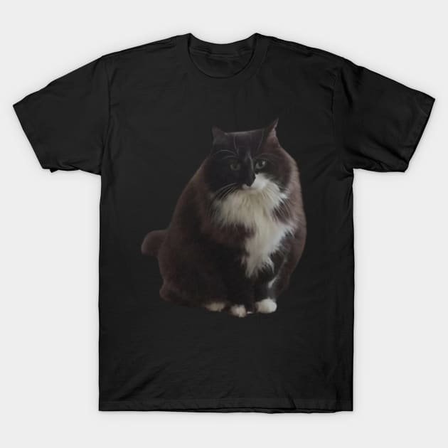 Fat cat T-Shirt by Tanias01
